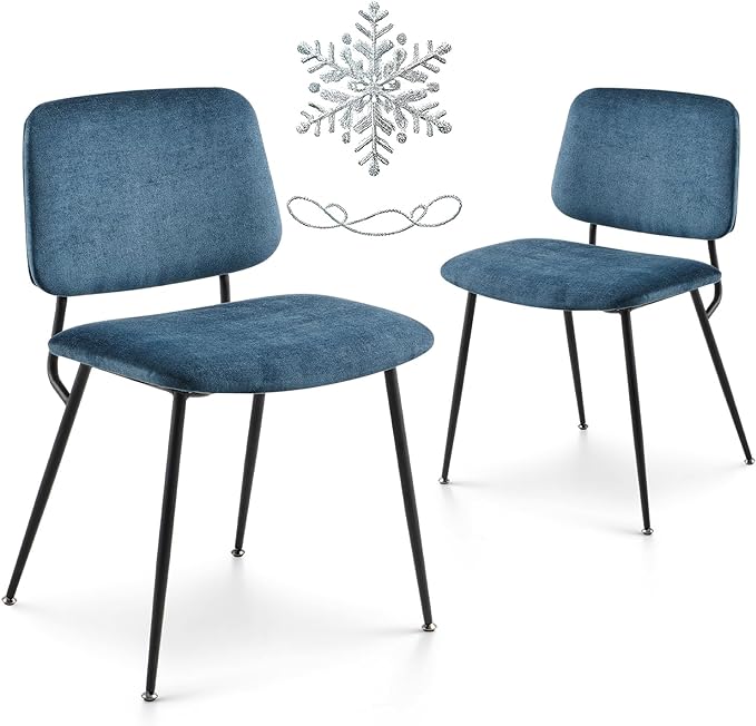Modern Upholstered Dining Chairs Set of 2, Fabric Dining Room Chairs Accent Diner Chair