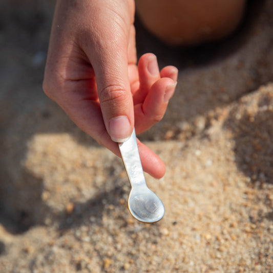 Shell Spoons